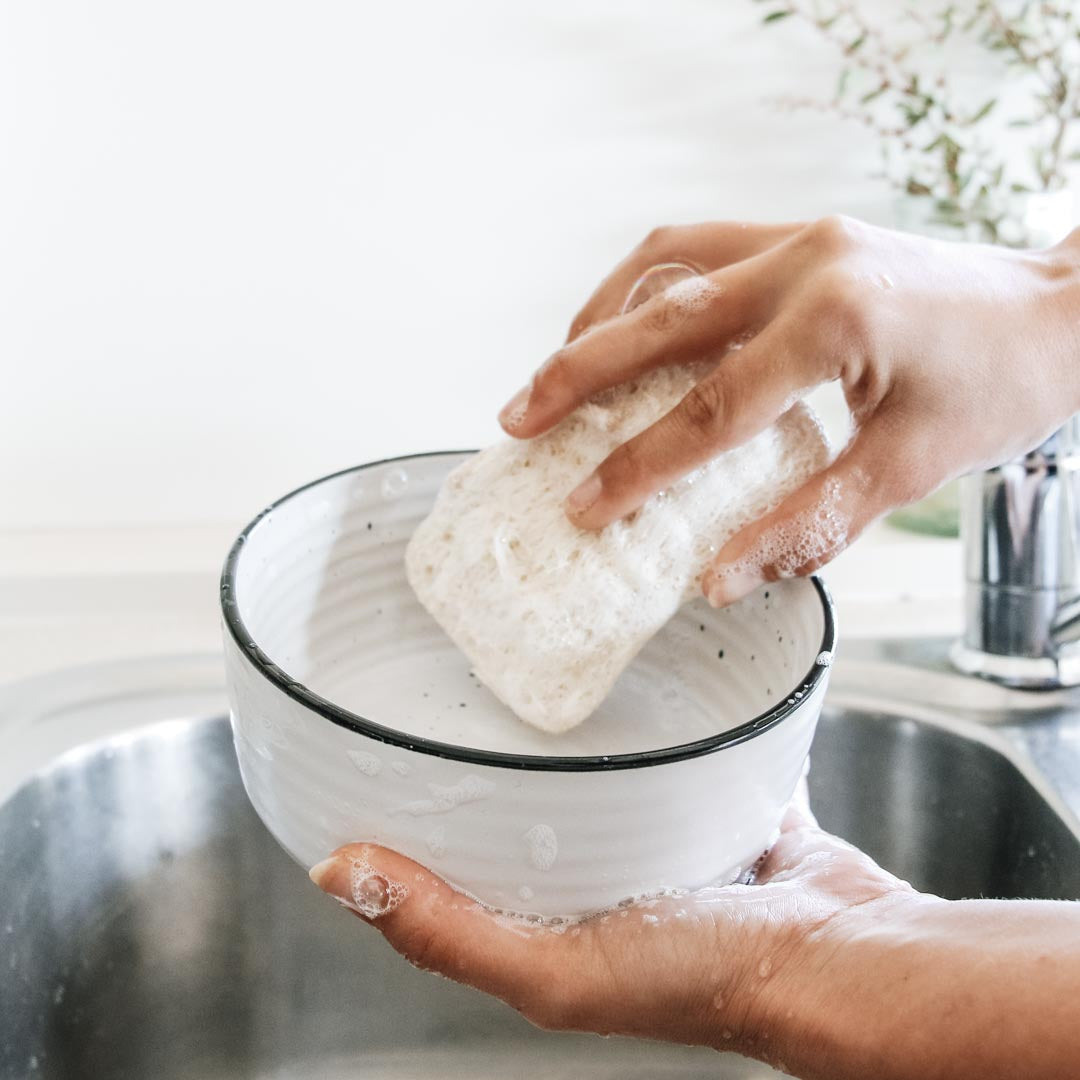 4pk Dishwashing Loofah Set