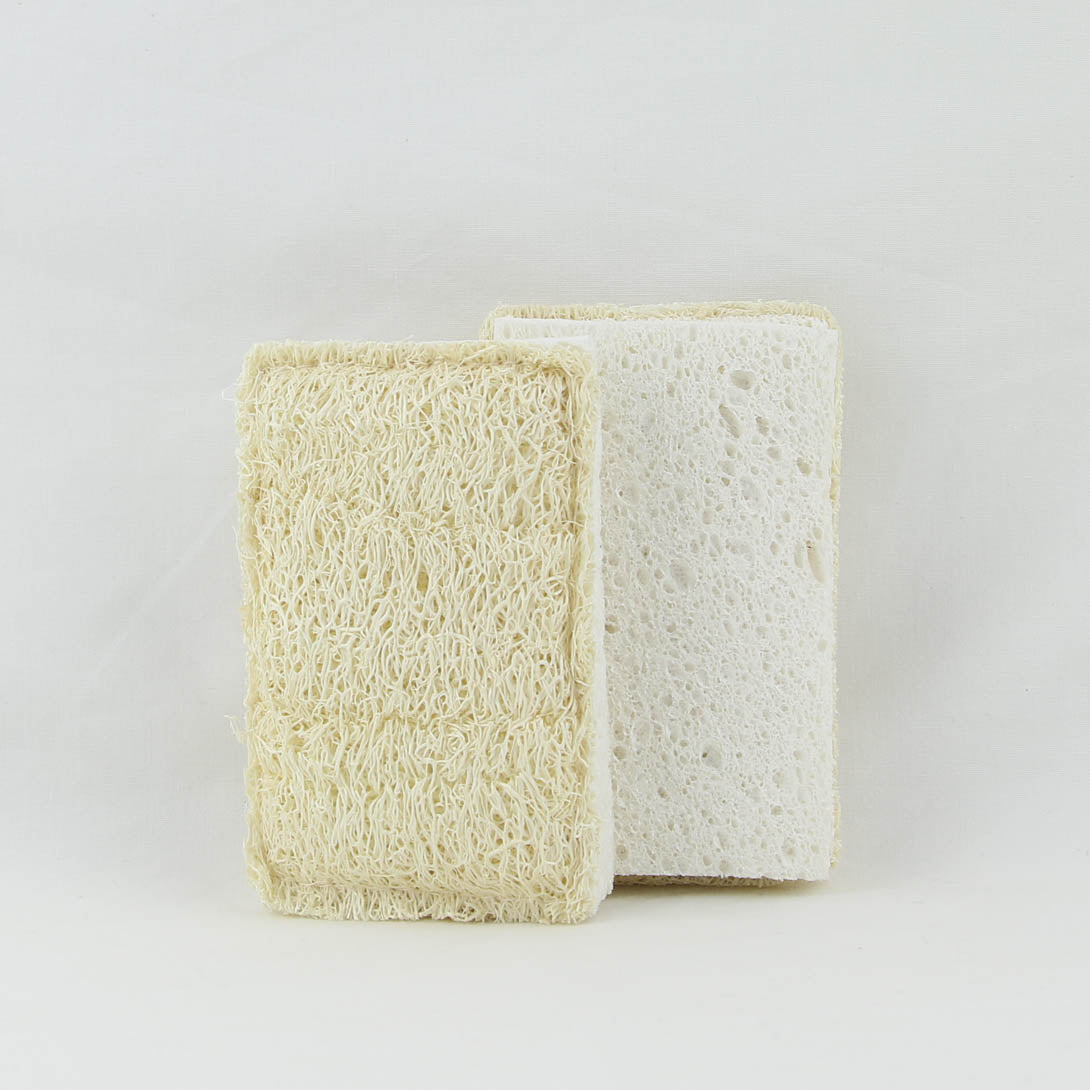 2pk Dishwashing Sponge Set